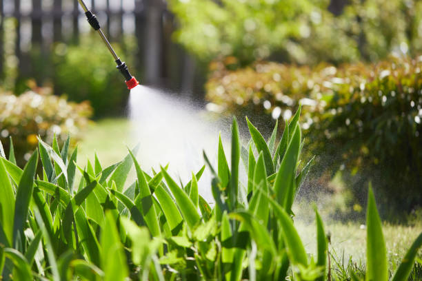24/7 Emergency Wasp Removal experts in Frederick, OK