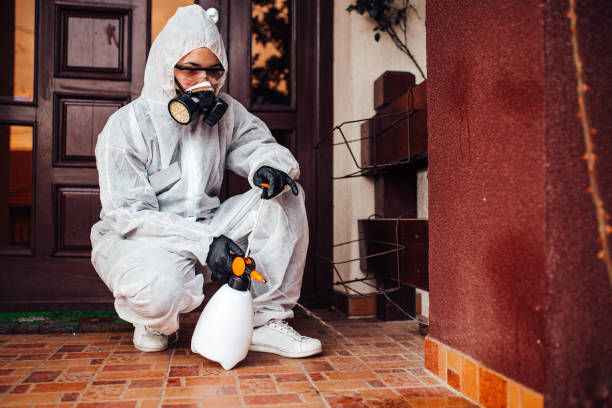 Reliable Wasp Removal contractor in Frederick, OK by Show Me Pest Control